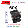 60A Thermal Circuit Breaker DC 12-48V 60A Solar Panel Surya Battery